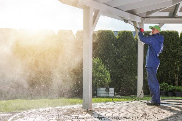 Best Soft Washing  in Fort Plain, NY