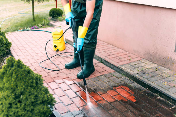 Best Solar Panel Cleaning  in Fort Plain, NY